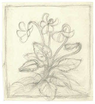 Visualizza l'immagine "FD D 1444"